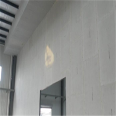 薛之谦新型建筑材料掺多种工业废渣的ALC|ACC|FPS模块板材轻质隔墙板